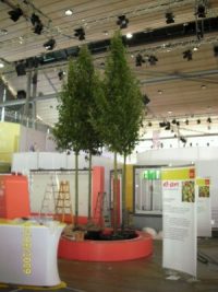 Bäume für die Ideen Expo Hannover