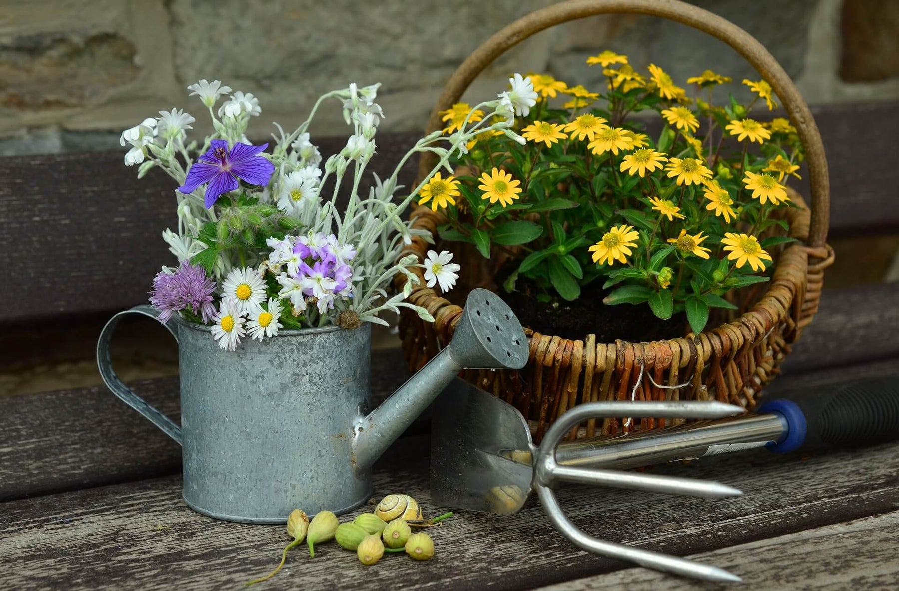 Tipps zur Bepflanzung von Balkonkästen und Blumenkästen