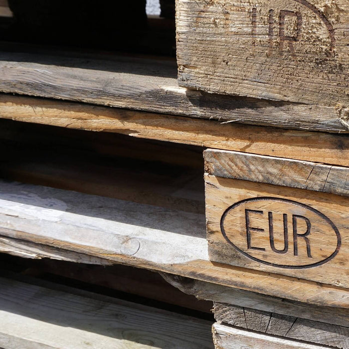 Pflanzenversand und Versandkosten für grosse Pflanzen