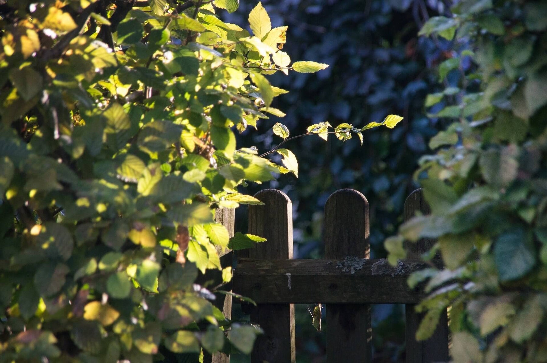 Aufstellung von Gartenhäuser und Gewächshäuser