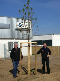 Baumlieferung BMW Motorrad