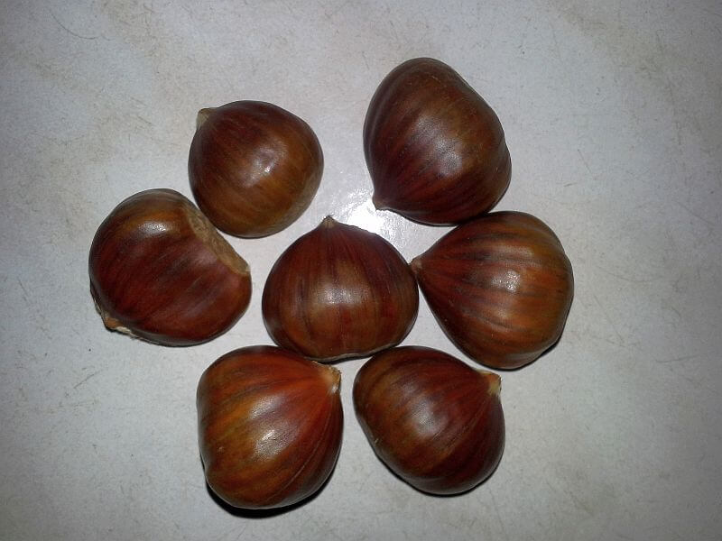 Esskastanien