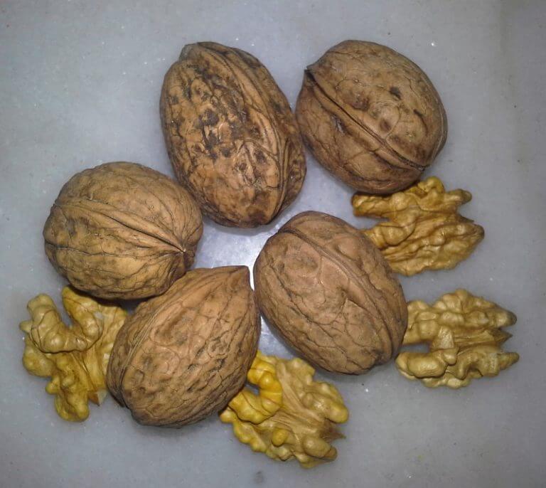 Haselnüsse und Walnüsse in verschiedenen Sorten